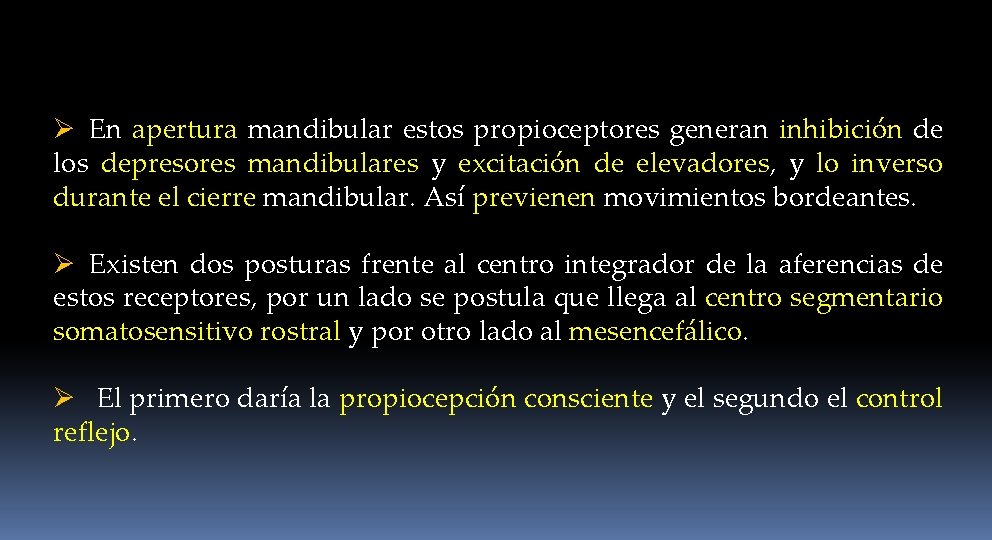 Ø En apertura mandibular estos propioceptores generan inhibición de los depresores mandibulares y excitación