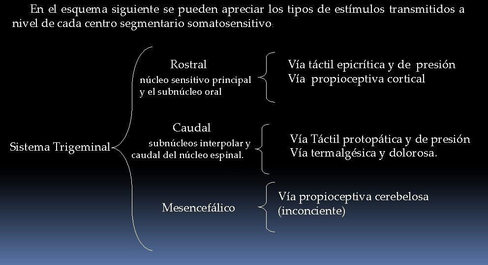 En el esquema siguiente se pueden apreciar los tipos de estímulos transmitidos a nivel