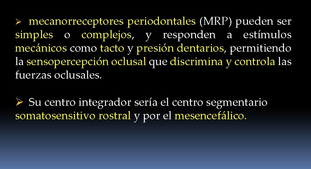 mecanorreceptores periodontales (MRP) pueden ser simples o complejos, y responden a estímulos mecánicos como