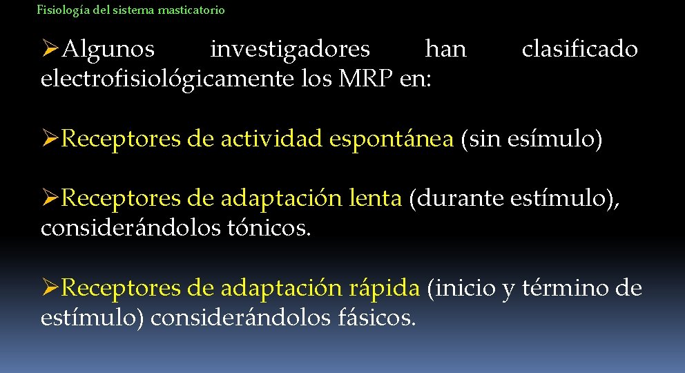 Fisiología del sistema masticatorio ØAlgunos investigadores han electrofisiológicamente los MRP en: clasificado ØReceptores de