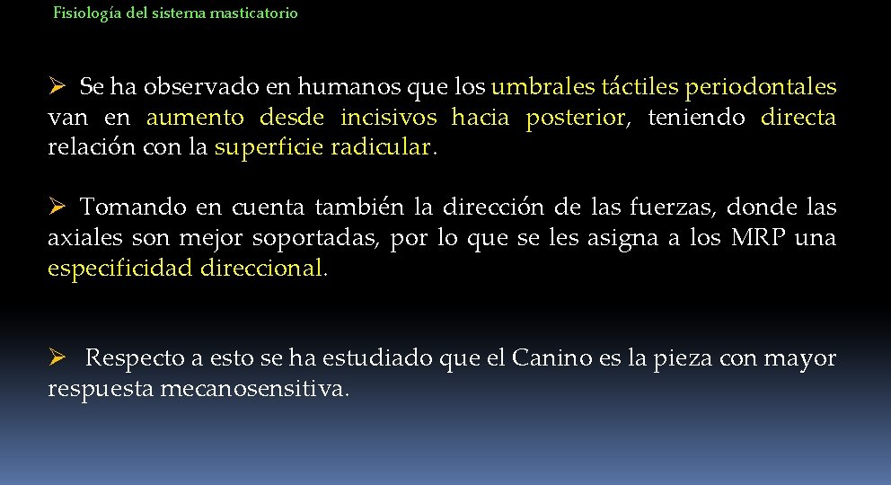 Fisiología del sistema masticatorio Ø Se ha observado en humanos que los umbrales táctiles