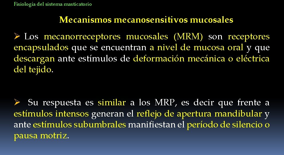 Fisiología del sistema masticatorio Mecanismos mecanosensitivos mucosales Ø Los mecanorreceptores mucosales (MRM) son receptores