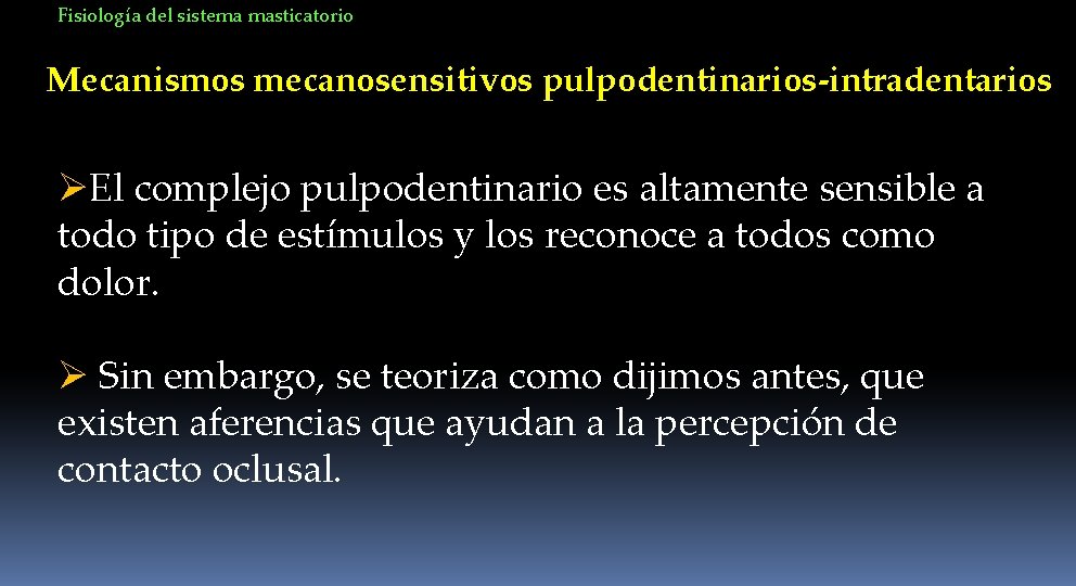 Fisiología del sistema masticatorio Mecanismos mecanosensitivos pulpodentinarios-intradentarios ØEl complejo pulpodentinario es altamente sensible a