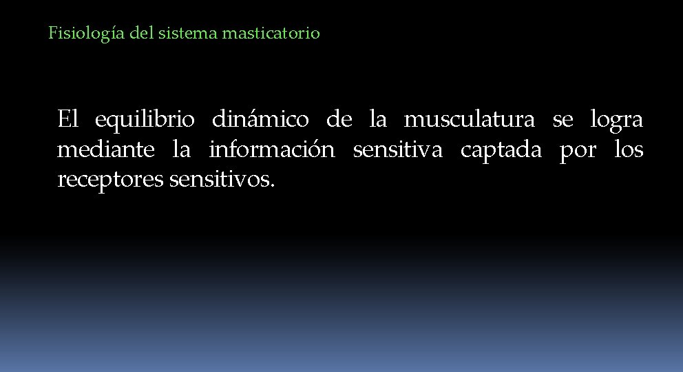 Fisiología del sistema masticatorio El equilibrio dinámico de la musculatura se logra mediante la