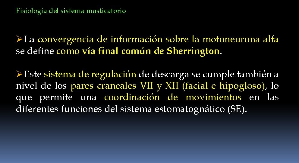 Fisiología del sistema masticatorio ØLa convergencia de información sobre la motoneurona alfa se define