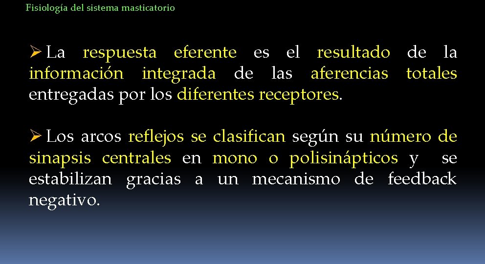 Fisiología del sistema masticatorio Ø La respuesta eferente es el resultado de la información