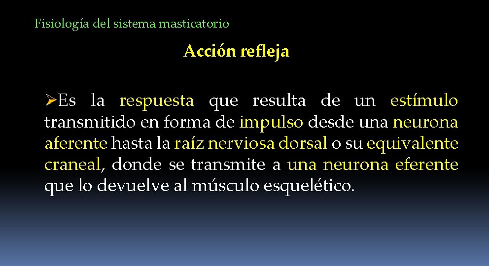 Fisiología del sistema masticatorio Acción refleja ØEs la respuesta que resulta de un estímulo
