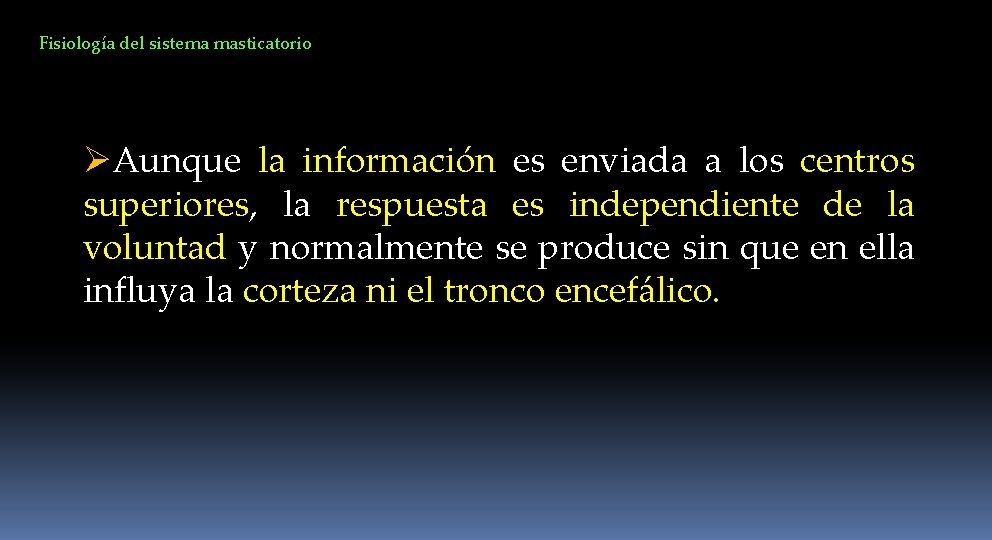 Fisiología del sistema masticatorio ØAunque la información es enviada a los centros superiores, la