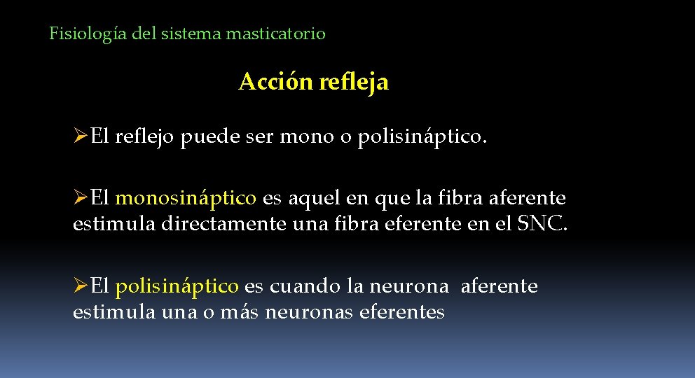 Fisiología del sistema masticatorio Acción refleja ØEl reflejo puede ser mono o polisináptico. ØEl