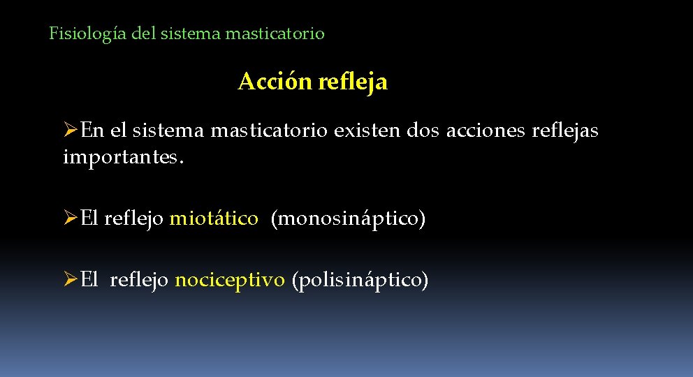 Fisiología del sistema masticatorio Acción refleja ØEn el sistema masticatorio existen dos acciones reflejas