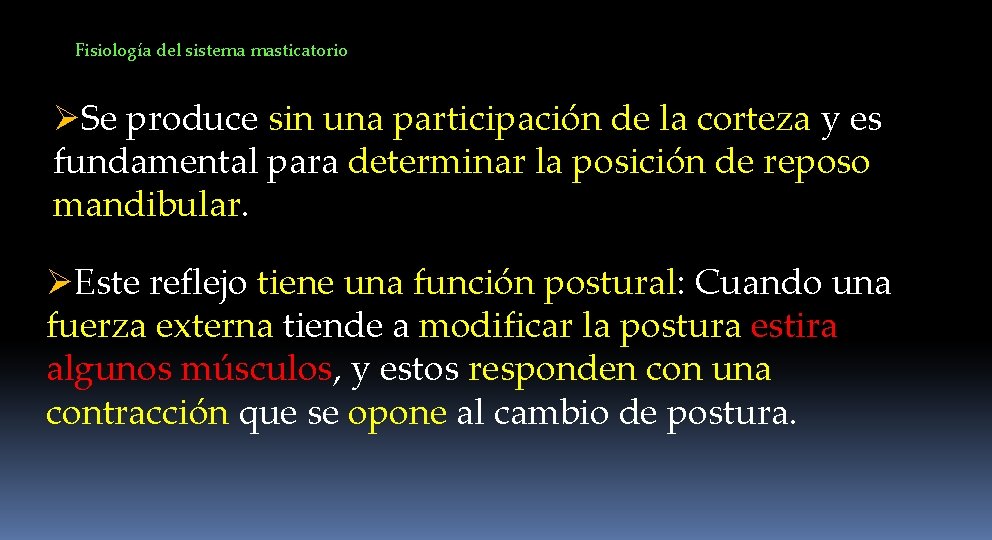 Fisiología del sistema masticatorio ØSe produce sin una participación de la corteza y es
