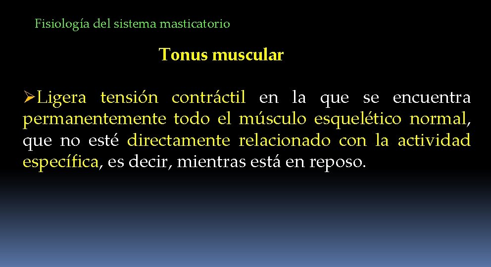 Fisiología del sistema masticatorio Tonus muscular ØLigera tensión contráctil en la que se encuentra