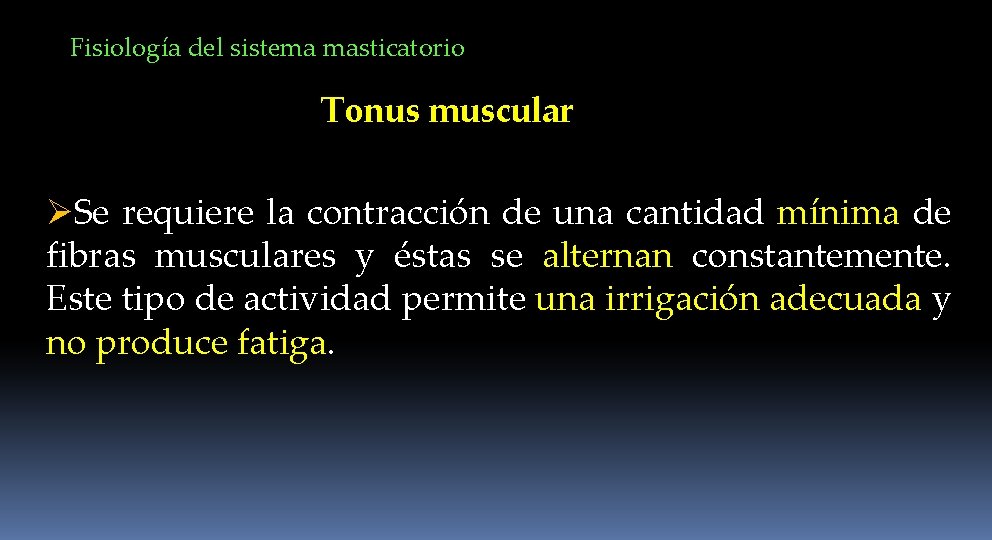 Fisiología del sistema masticatorio Tonus muscular ØSe requiere la contracción de una cantidad mínima