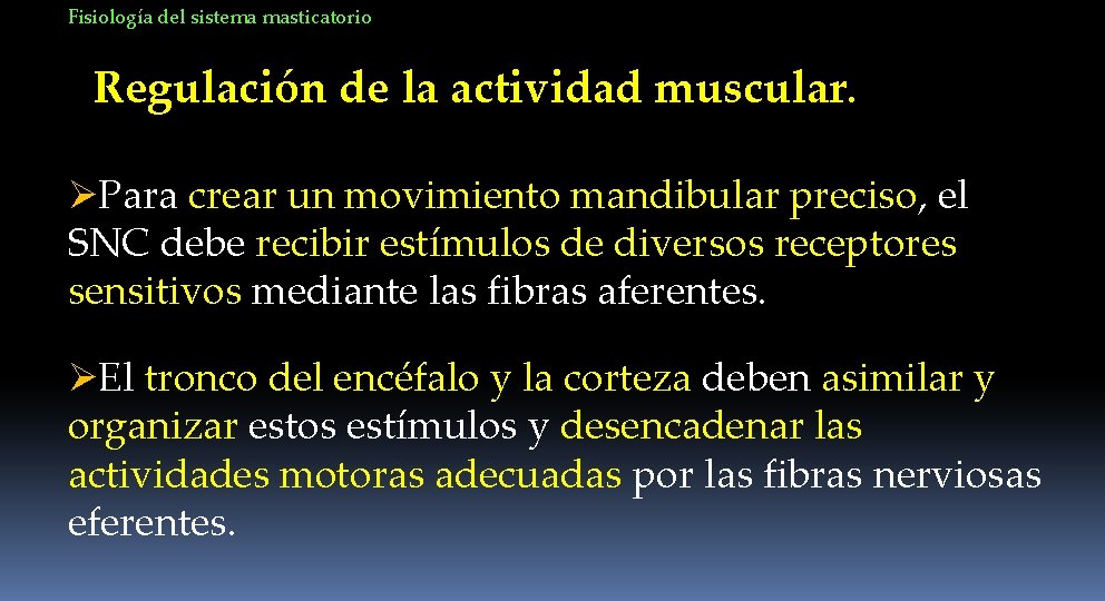 Fisiología del sistema masticatorio Regulación de la actividad muscular. ØPara crear un movimiento mandibular
