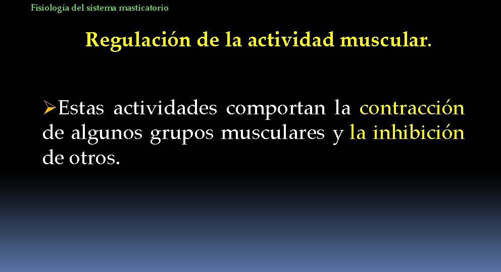 Fisiología del sistema masticatorio Regulación de la actividad muscular. ØEstas actividades comportan la contracción