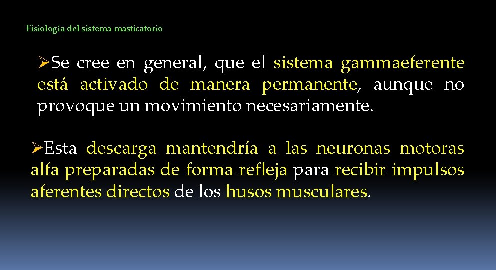 Fisiología del sistema masticatorio ØSe cree en general, que el sistema gammaeferente está activado