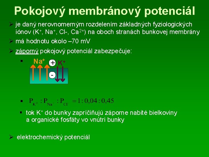 Pokojový membránový potenciál Ø je daný nerovnomerným rozdelením základných fyziologických iónov (K+, Na+, Cl-,