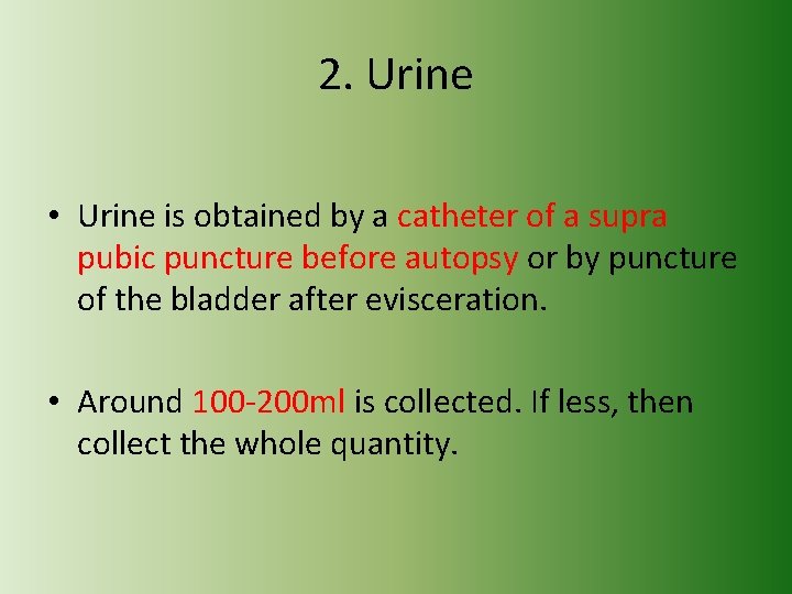 2. Urine • Urine is obtained by a catheter of a supra pubic puncture