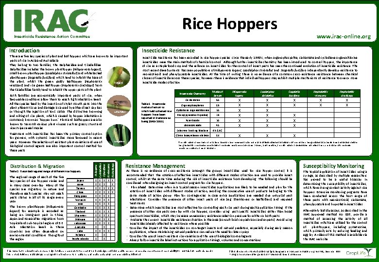 Rice Hoppers www. irac-online. org Insecticide Resistance Action Committee Introduction Insecticide Resistance There are