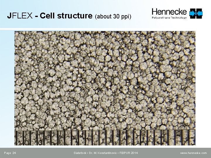 JFLEX - Cell structure (about 30 ppi) Page 24 Slabstock • Dr. M. Konstantinovic