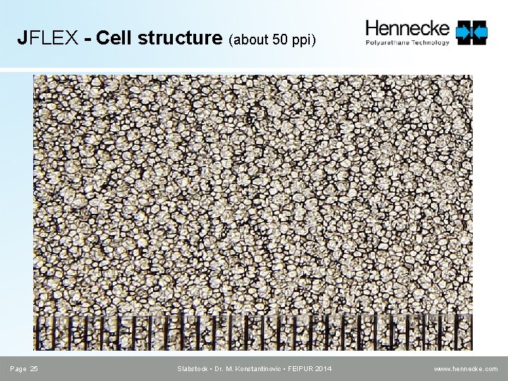 JFLEX - Cell structure (about 50 ppi) Page 25 Slabstock • Dr. M. Konstantinovic