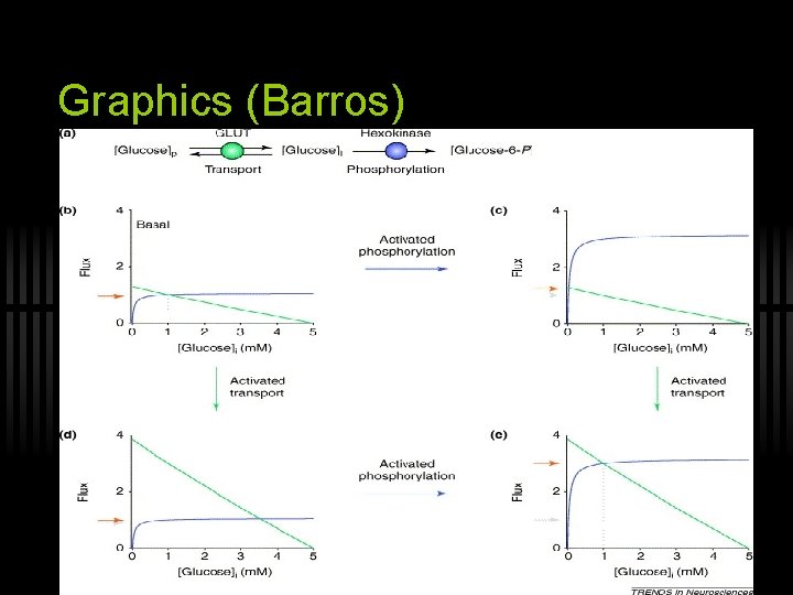 Graphics (Barros) 