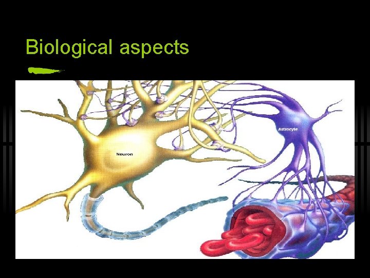 Biological aspects 