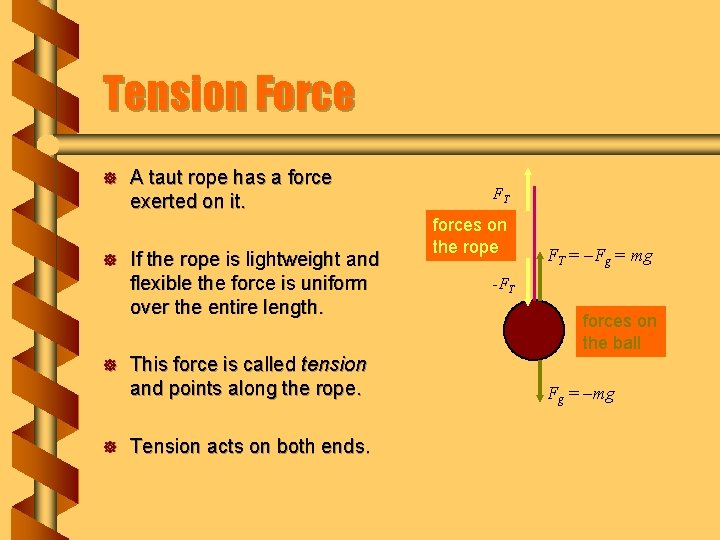 Tension Force ] ] A taut rope has a force exerted on it. If