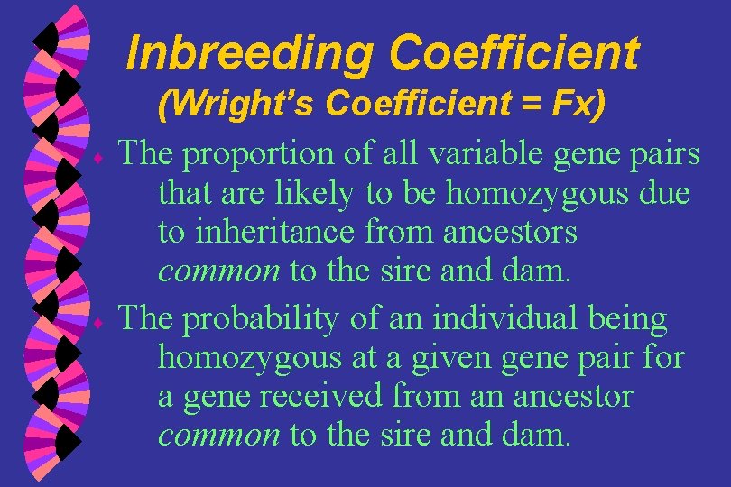 Inbreeding Coefficient ♦ ♦ (Wright’s Coefficient = Fx) The proportion of all variable gene