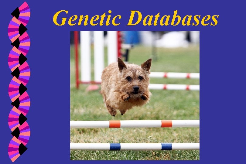 Genetic Databases 