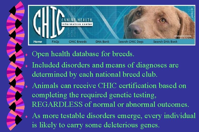 ♦ ♦ Open health database for breeds. Included disorders and means of diagnoses are