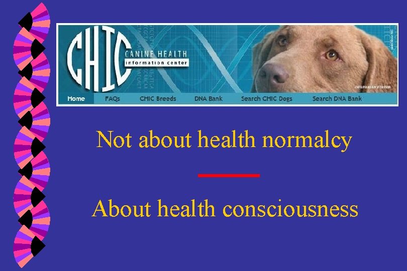 Not about health normalcy About health consciousness 