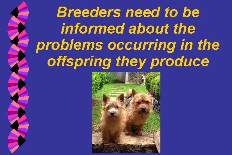 Breeders need to be informed about the problems occurring in the offspring they produce