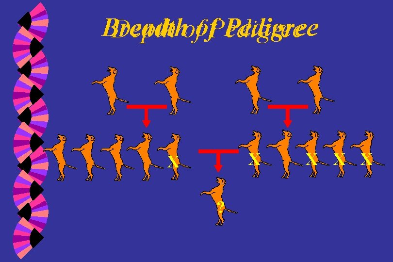 Breadth Pedigree Depth ofof. Pedigree X X ? X X X 