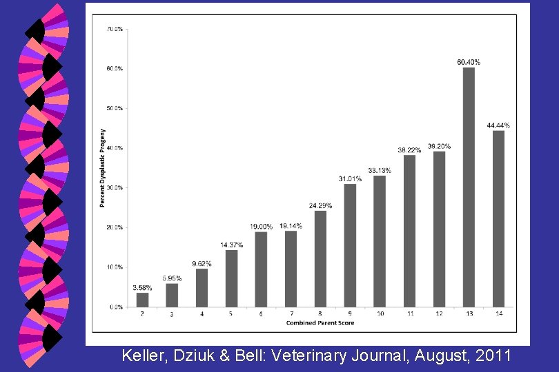 Keller, Dziuk & Bell: Veterinary Journal, August, 2011 