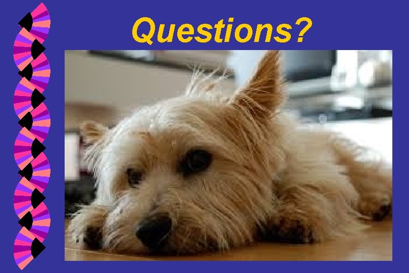 Questions? 