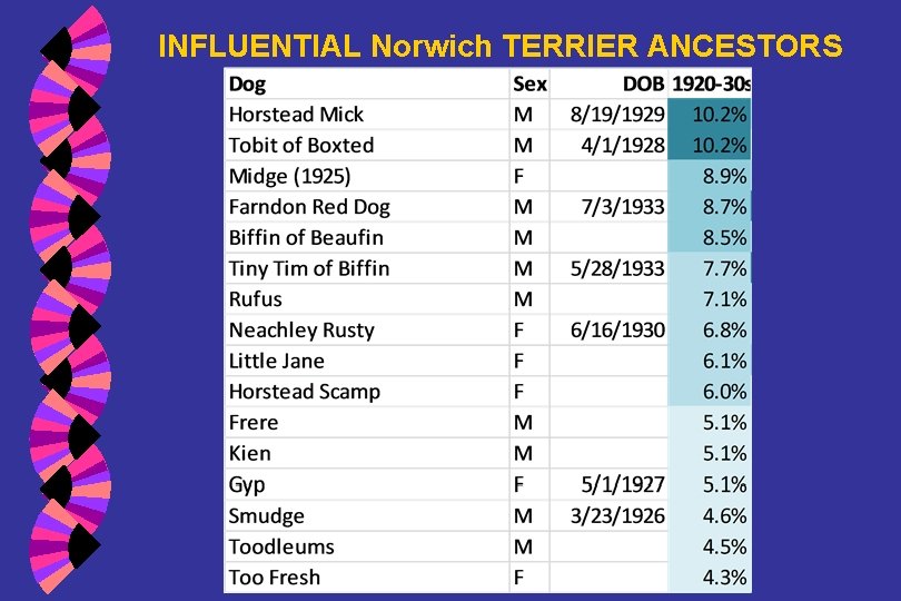 INFLUENTIAL Norwich TERRIER ANCESTORS 
