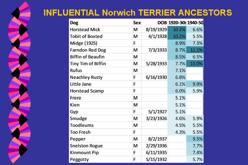 INFLUENTIAL Norwich TERRIER ANCESTORS 