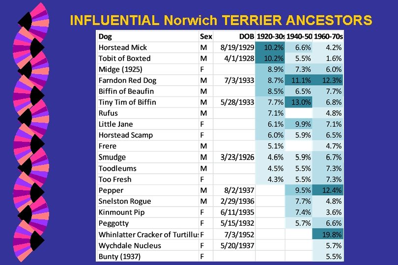 INFLUENTIAL Norwich TERRIER ANCESTORS 