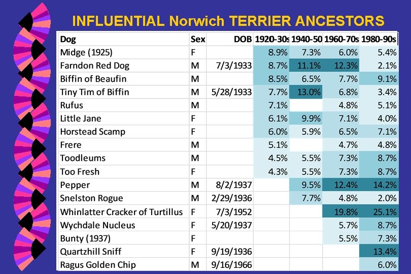 INFLUENTIAL Norwich TERRIER ANCESTORS 