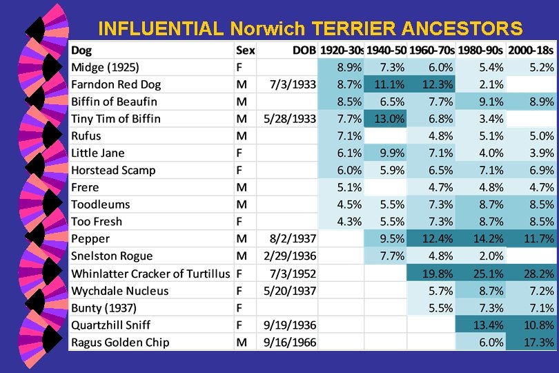 INFLUENTIAL Norwich TERRIER ANCESTORS 