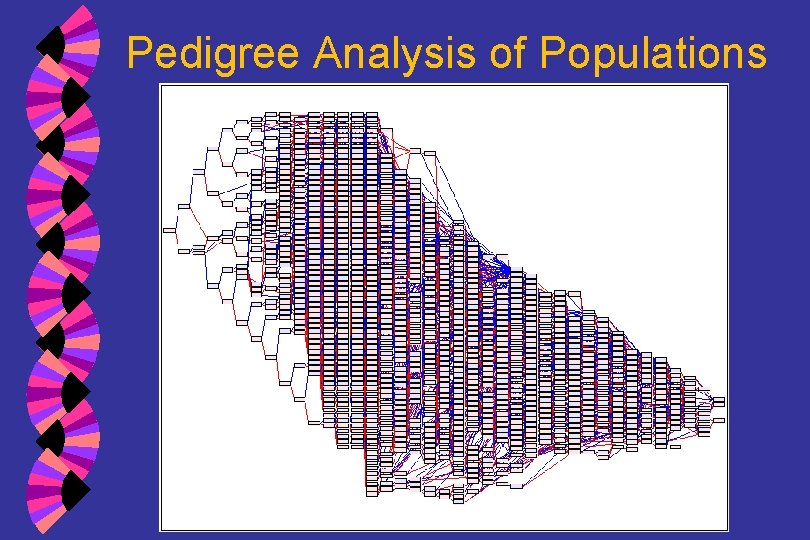 Pedigree Analysis of Populations 