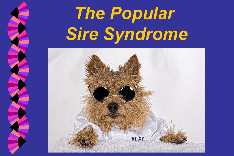 The Popular Sire Syndrome 