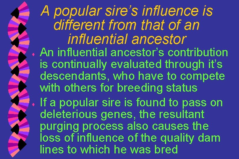 A popular sire’s influence is different from that of an influential ancestor ♦ ♦