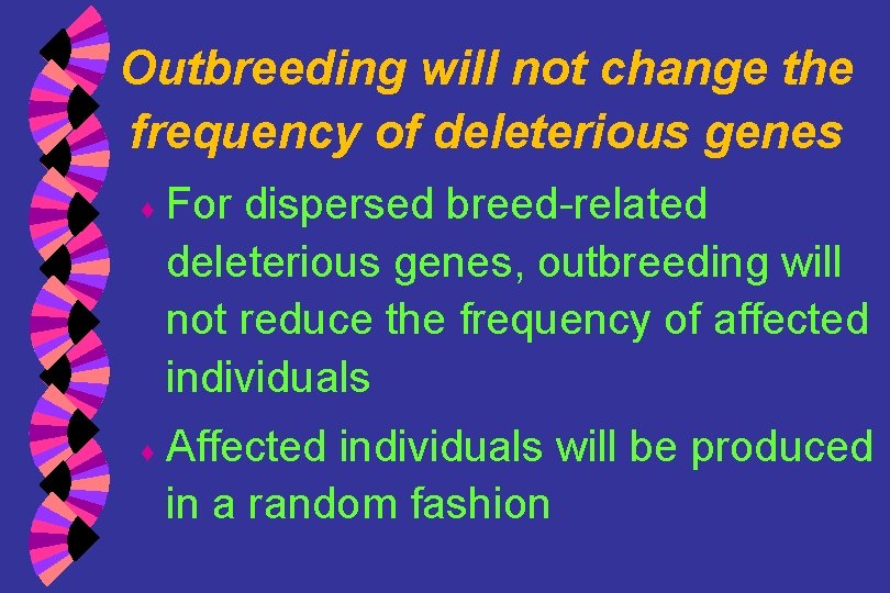 Outbreeding will not change the frequency of deleterious genes ♦ ♦ For dispersed breed-related