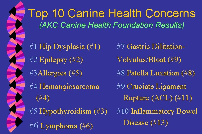 Top 10 Canine Health Concerns (AKC Canine Health Foundation Results) #1 Hip Dysplasia (#1)