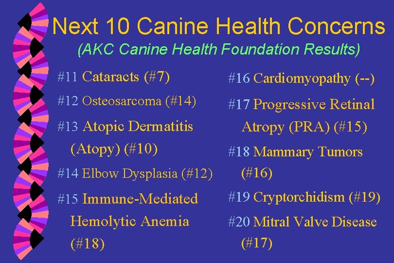 Next 10 Canine Health Concerns (AKC Canine Health Foundation Results) #11 Cataracts (#7) #16