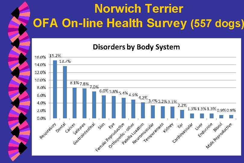 Norwich Terrier OFA On-line Health Survey (557 dogs) 