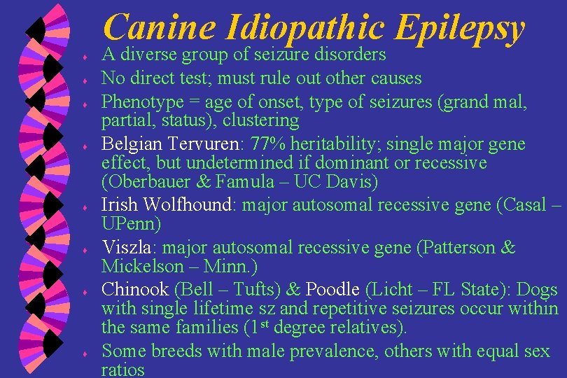 Canine Idiopathic Epilepsy ♦ ♦ ♦ ♦ A diverse group of seizure disorders No