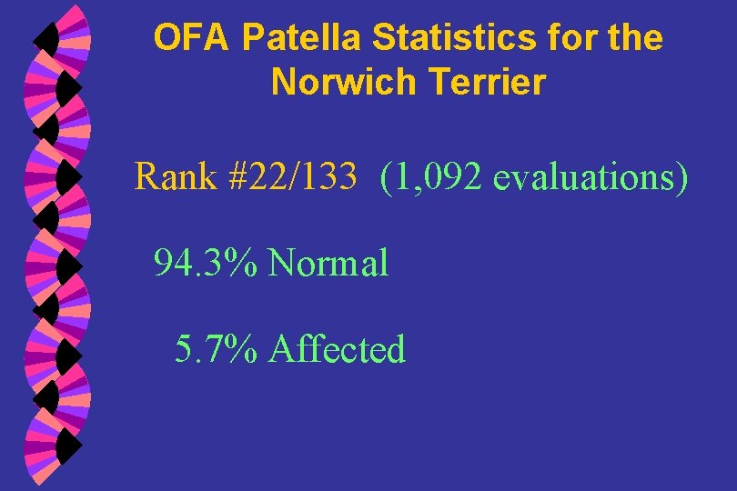 OFA Patella Statistics for the Norwich Terrier Rank #22/133 (1, 092 evaluations) 94. 3%
